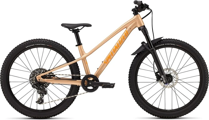 Specialized Riprock Comp 24 gloss photon tint over flake silver Modell 2026