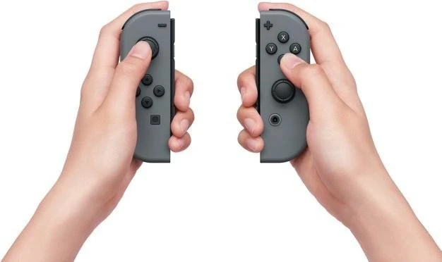 Nintendo Switch (2019) schwarz/grau