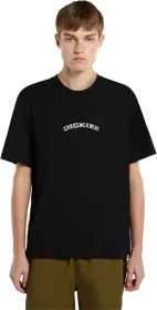 Dickies Canyon T-Shirt kurzarm schwarz (Herren)
