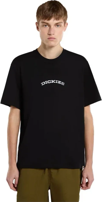 Dickies Canyon T-Shirt kurzarm schwarz (Herren)