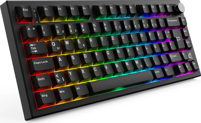 Sharkoon Skiller SGK55W, schwarz, LEDs RGB, hot-swap, Sharkoon Linear, USB, DE