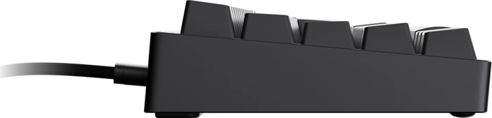 Endgame Gear KB65HE 8k Hall Effect Gaming Tastatur, schwarz, LEDs RGB, Raesha Silent Magnetic, USB, DE