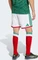 adidas FIFA WM 2026 Mexiko Heimshorts (Herren) Vorschaubild