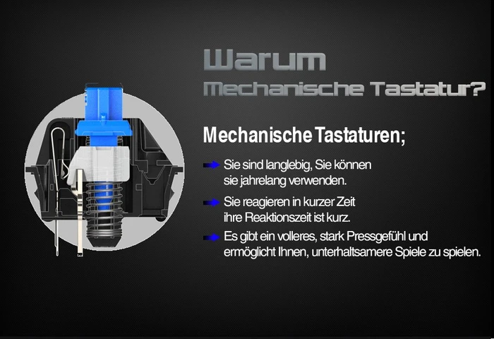Inca IKG-444 Ophira Mechanical Gaming Tastatur, silber/schwarz, LEDs RGB, BLUE Switches, USB, DE