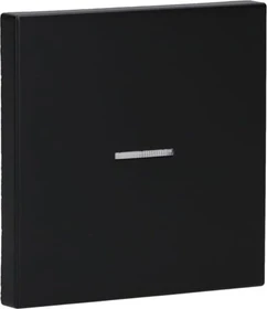Jung Serie LS Wippe mit Lichtleiter 1fach, graphitschwarz matt