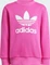 adidas Adicolor Set semi lucid fuchsia (Junior) Vorschaubild