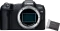 Canon EOS R8 Vorschaubild
