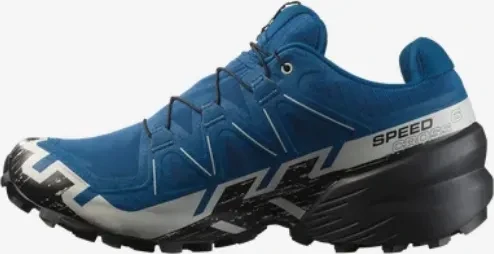 Salomon Speedcross 6 GTX poseidon/black/lunar rock (Herren)
