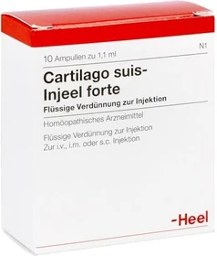 Heel Cartilago suis Injeel forte Ampullen, 10 Stück