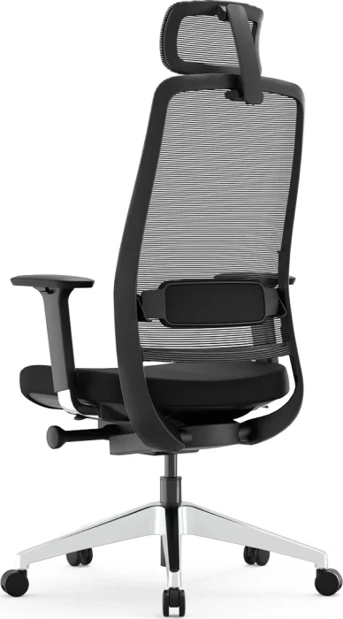 Yaasa Chair Expert Bürostuhl, schwarz
