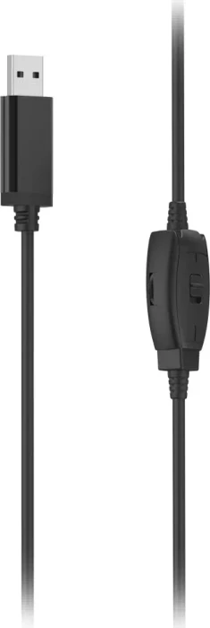 Hama HS-USB250 V2