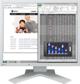 Eizo FlexScan S1934, grau, 19"