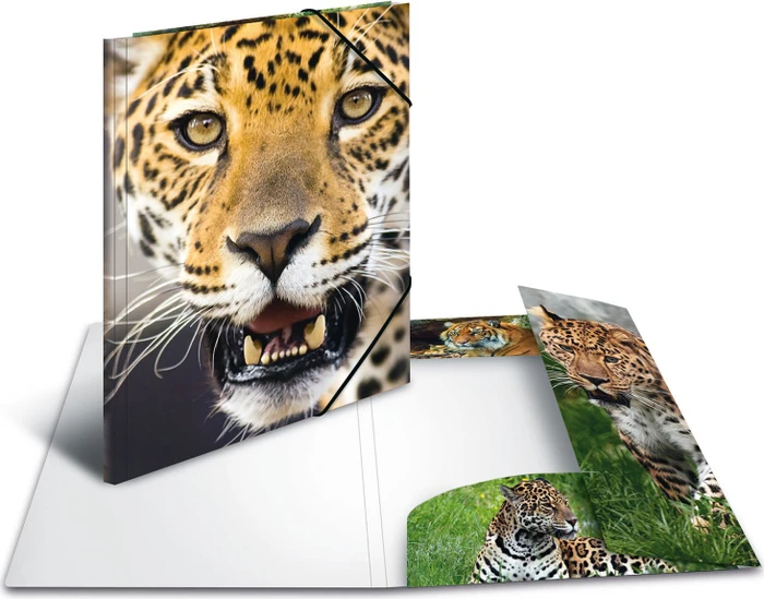 Herma Sammelmappe, A4, Tiermotiv Leopard