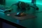 SteelSeries QcK Edge Medium Vorschaubild