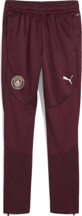 Puma Manchester City Trainingshose lang dark jasper (Junior)