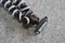 Joby Gorillapod SLR-Zoom mit Kugelkopf Vorschaubild