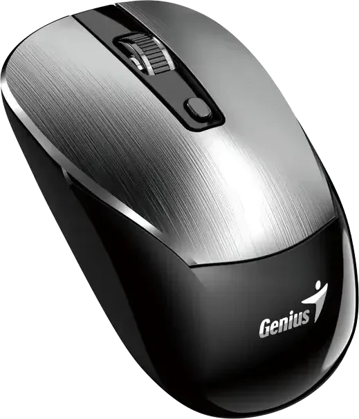 Genius NX-7125 Copilot Wireless Optical Mouse silber/schwarz, USB