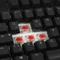 Ducky One TKL PBT schwarz, LEDs RGB, MX RGB RED, USB, DE Vorschaubild