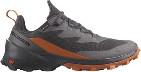 Salomon Cross Over 2 GTX magnet/phantom/spice route (Herren)