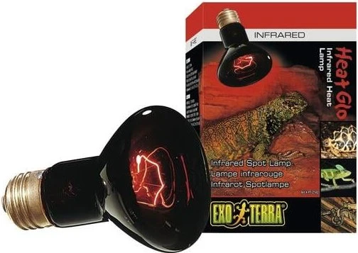Exo Terra Reptile Infrared Basking Spot, Wäremlampe, 100W