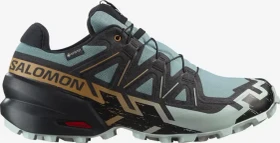 Salomon Speedcross 6 GTX trooper/black (Herren)