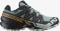 Salomon Speedcross 6 GTX trooper/black (Herren) Vorschaubild