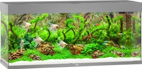 Juwel Rio 240 LED Aquarium-Set, grau, 240l