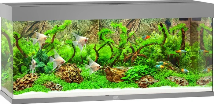 Juwel Rio 240 LED Aquarium