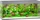 Juwel Rio 240 LED Aquarium-Set, grau, 240l (03650)