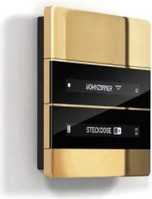 Enertex MeTa KNX Standard Raumcontroller 2-fach gold