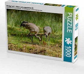 Calvendo Altvögel mit 1. Küken und angepicktem Ei