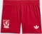 adidas Liverpool FC Mini 2026/2027 Auswärtsausrüstung (Junior) Vorschaubild