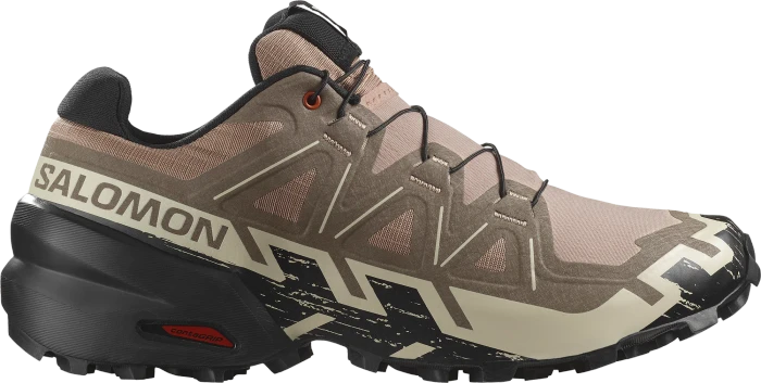 Salomon XA Pro 3D V9 dark gull gray/cloudburst/asphalt (Herren)