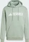 adidas Terrex Multi Large Logo Hoodie silver green (Herren) Vorschaubild
