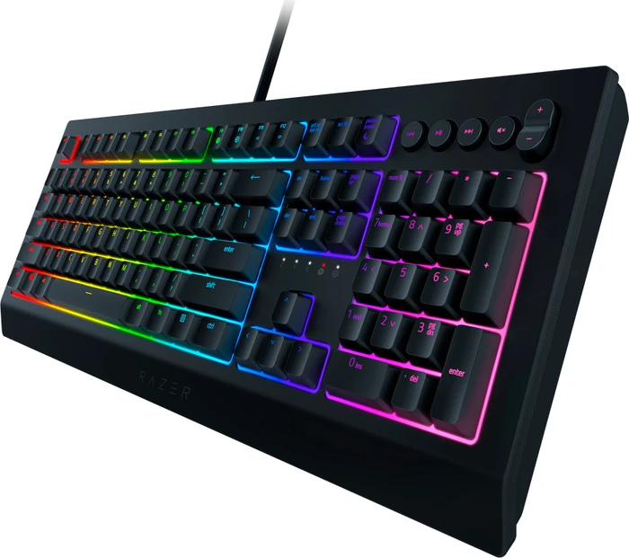Razer Cynosa V2, USB, IT