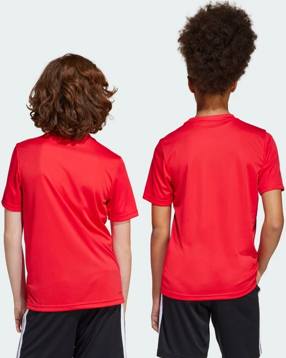 adidas Train Essentials Logo Regular Fit Funktionsshirt kurzarm pure ruby/black (Junior)