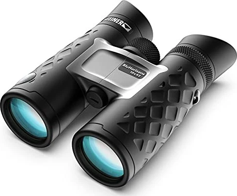 Steiner BluHorizons 10x42