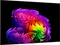 LG OLED evo AI G6 OLED55G67LW Vorschaubild
