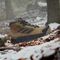 adidas Terrex Winter Leather Mid Rain.RDY Cold.RDY cardboard/carbon/bronze strata Vorschaubild