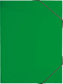 Brunnen FACT!pp Sammelbox für Hefte, A4, grün/transparent