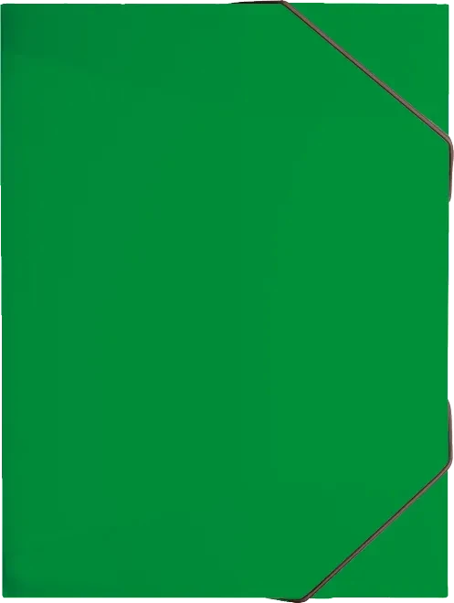 Brunnen FACT!pp Sammelbox für Hefte, A4, grün/transparent