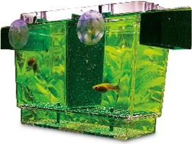 Hobby Nido 2, schwimmender Ableichkasten