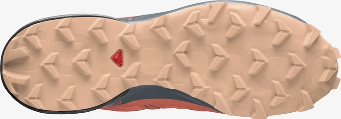 Salomon Speedcross 5 GTX persimon/phantom/almond cream (Damen)