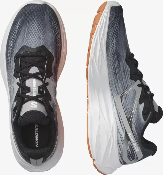 Salomon Aero Glide black/alloy/coral gold (Herren)
