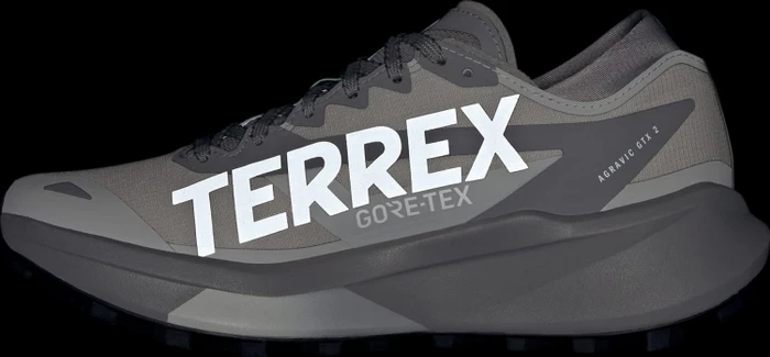 adidas Terrex Agravic GTX 2 grey two/grey one/pulse mint (Damen)