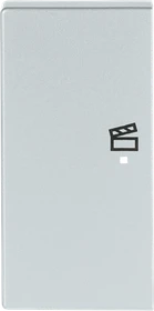 Busch-Jaeger Wippe 2-fach mit Symbol "Szene", alusilber