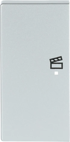 Busch-Jaeger Wippe 2-fach mit Symbol "Szene", alusilber