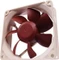 Noctua NF-R8 Vorschaubild