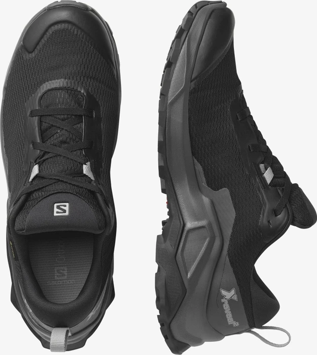 Salomon X Raise 2 GTX black/magnet/quarry (Herren)