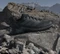 adidas Terrex Eastrail 3 core black/carbon/grey four (Herren) Vorschaubild